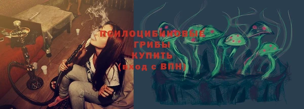 гидропоника Абаза